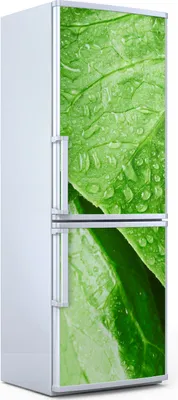 Produktbild von Magnete Dekorative - 60 cm x 180 cm - Küche Magnetmatte Kühlschrankmagnete - Salat Blätter