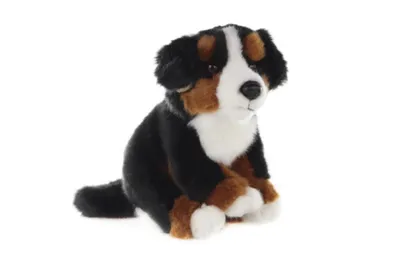 A plush toy dog sitting on a white background.