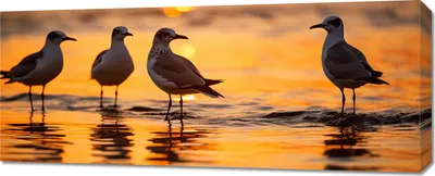 Produktbild von Bild 100x40cm Möwe Gawęda