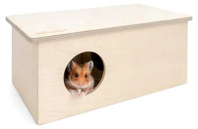 Immagine prodotto di Casetta per criceti in legno di betulla - 2 stanze - Tetto rimovibile - 33 x 18,8 x 14,5 cm