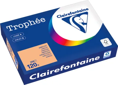 Produktbild von Clairefontaine Kopierpapier 1275PC A4 120g aprikose 250Bl
