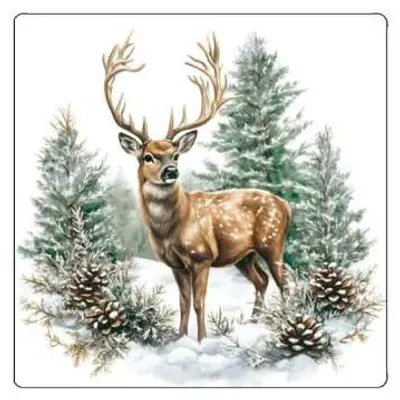 Productafbeelding van Ambiente Onderzetter – Wintercollectie