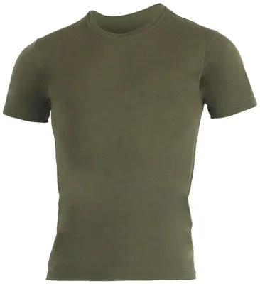 Obrázek produktu pro Lasting pánské merino triko CHUAN zelené
