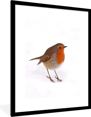 Produktbild von MuchoWow® Gerahmtes Poster Vogel - Rotkehlchen - Schnee 60x80 cm - Poster mit Schwarzem Bilderrahmen Wandposter Rahmen Foto Bilder - Wohnzimmer - Dekorationen - Prämie