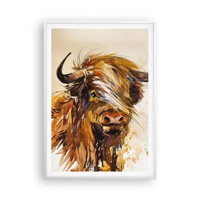 Produktbild von Gerahmtes Poster - Weißer Rahmen - Stier Scotch Aquarell - 70x100 cm - Wand Bild - Wanddeko - Wandbilder - Kunstposter - Wandposter - Bilderrahmen - Bilder - Kunstdruck - P2WPA70x100-4708