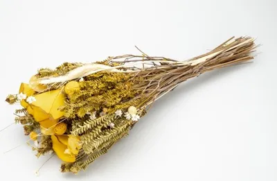 Produktbild von Trockenblumen Strauß Fantasia ca. 40-50cm in vielen Farben zur Auswahl , Farbe:Gelb