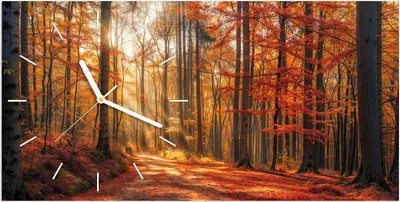 Produktbild von Wanduhr aus Glas mit Motiv Herbstlicher Waldweg- 60 x 30 cm - inkl. Aufhängesystem