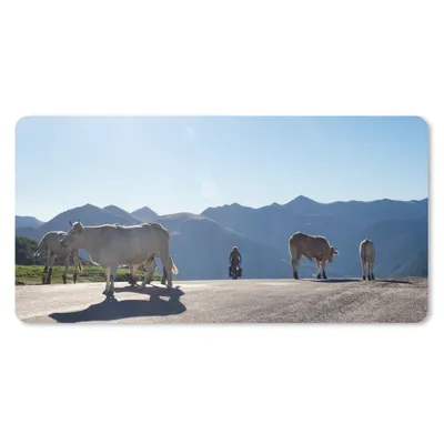 Produktbild von MuchoWow® Mauspad Mousepad Schottische Highlander - Licht - Berge - Natur 60x30 cm - Mousepads - Maus Mat - Pad - Mausunterlage - Nachhaltig