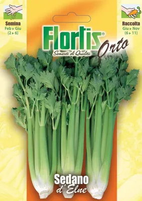 Produktbild von Echter Sellerie | Selleriesamen von Flortis
