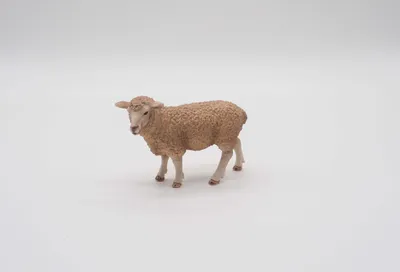 Produktbild von Schleich 13743 - Schaf, Minifigur