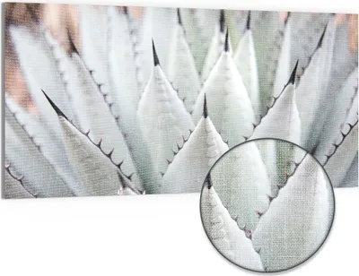 Produktbild von DEQORI Hybrid Leinwand Bild 100x50 cm 'Agavenästhetik' Wandbild Glas flach modern