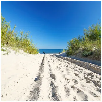 Produktbild von Wallario Premium Glasbild, freischwebende Optik, kräftige Farben, Größe 50 x 50 cm Motiv Auf dem Sandweg zum Strand - Blauer Himmel über dem Meer