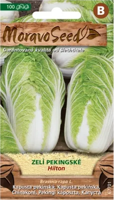 Immagine prodotto di Cavolo HILTON 67701