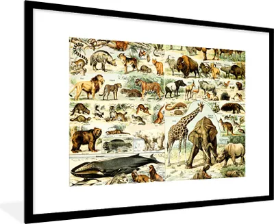 Produktbild von MuchoWow® Gerahmtes Poster Tiere - Giraffe - Löwe 90x60 cm - Poster mit Schwarzem Bilderrahmen Wandposter Rahmen Foto Bilder - Wanddekoration - Fotos