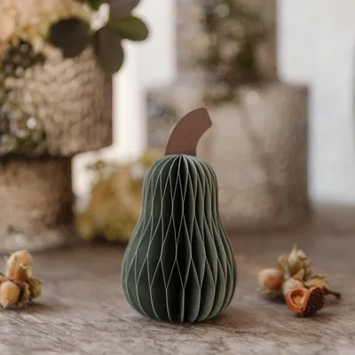 Produktbild von Kürbis hoch aus Papier - olive