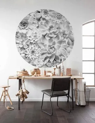 Productafbeelding van Komar Vlies fotobehang "Echeveria" met rundvleesprint en zelfklevend – Afmetingen: 125 x 125 cm (breedte x hoogte) – 1 stuk