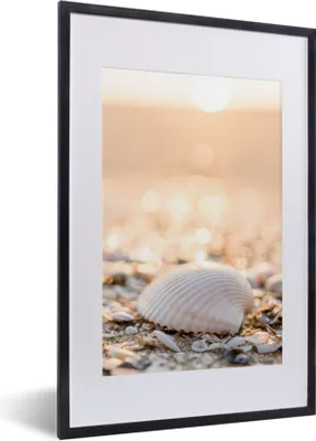 Produktbild von MuchoWow® Gerahmtes Poster Muscheln - Weiß - Strand - Sommer 40x60 cm - Poster mit Schwarzem Bilderrahmen Wandposter Rahmen Foto Bilder - Poster in Rahmen