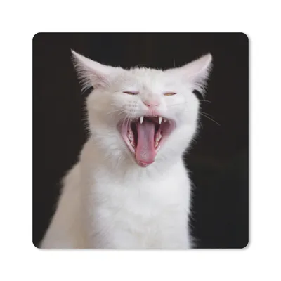 Produktbild von MuchoWow® Mauspad Mousepad Gaffende weiße Katze 20x20 cm - Mousepads - Maus Mat - Pad - Mausunterlage - Desk Mat - Bureauartikeln