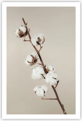 Produktbild von Poster - Poster ohne Rahmen - Baumwolle Zweig Boho - 61x91,5 cm - Wand Bild - Wanddeko - Wandbilder - Kunstposter - Wandposter - Bilder - Kunstdruck - Wanddekoration - Wandbild - P2XPA61x91-4730