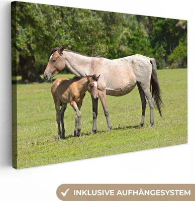 Produktbild von OneMillionCanvasses® - Leinwandbilder - 140x90 cm, Pferde - Gras - Schatten, Wandbilder Kunstdruck Wanddekoration