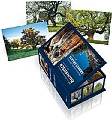 Produktbild von Postkartenbox Baumriesen der Schweiz