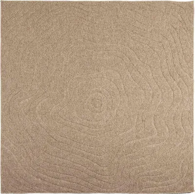 Image de vidaXL Tapis d'intérieur et d'extérieur AGIRA Nature, 200 x 200 cm, polyester