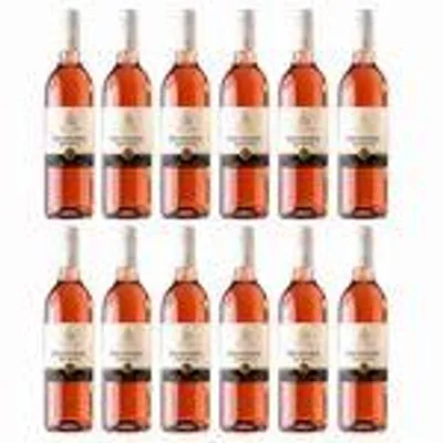 Produktbild von Spätburgunder Rosé feinherb 2025 Pfalz fruchtig 12 x 0,75 l