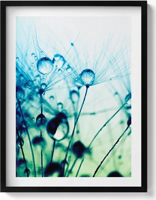 Produktbild von Tautropfen auf Gebläse– Wandbild mit Rahmen – Gerahmtes Bild  – Wanddekoration – 60x80 cm –  Schwarz Rahmen