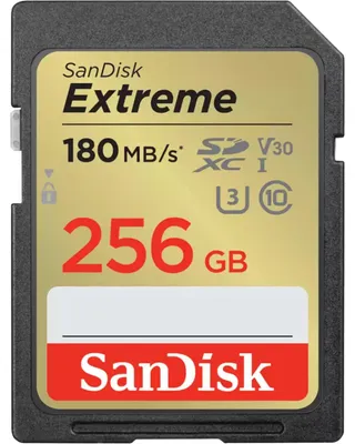 Image de SanDisk - SDSDXVV-256G-GNCIN - carte mémoire