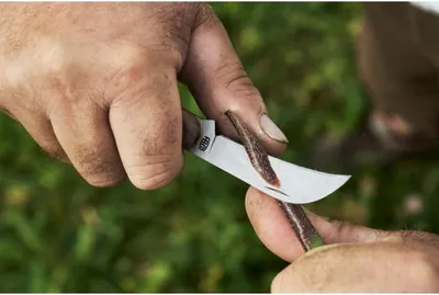 Produktbild von FELCO 511 Beschneide- und Veredelungsmesser