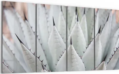 Produktbild von DEQORI Glasbild Echtglas 4x30x60 cm 'Agavenästhetik' Wandbilder XXL groß