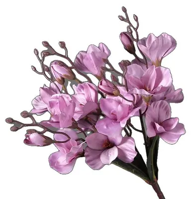 Image de Fleurs de magnolias artificielles, bouquet de fleurs d'intérieur, décoration polyvalente, couleur LILAS