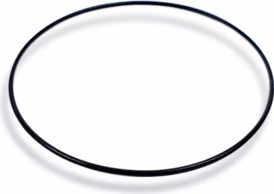 Produktbild von Casio Bodendichtung O-Ring schwarz für WVA-210DE WVA-210DU WVA-460DSE