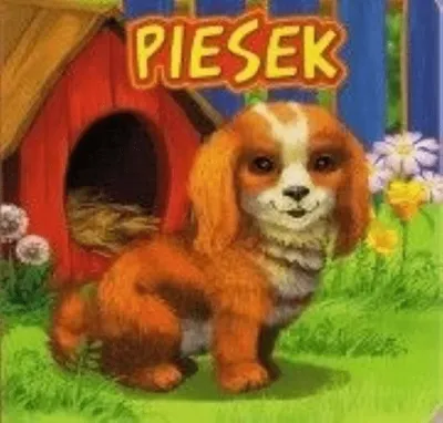 Zdjęcie produktu dla Piesek JAFI - Katarzyna Campbell