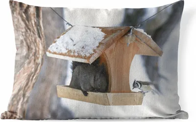 Produktbild von MuchoWow® Outdoor Kissen - Eichhörnchen - Vogelhaus - Schnee - 60x40 cm - Wetterfest - Lounge Kissen - Zierkissen - Kissen für Innenräume