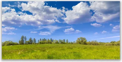 Produktbild von Glasbilder 140x70 Wandbild Druck auf Glas Wiese Gras Landschaft