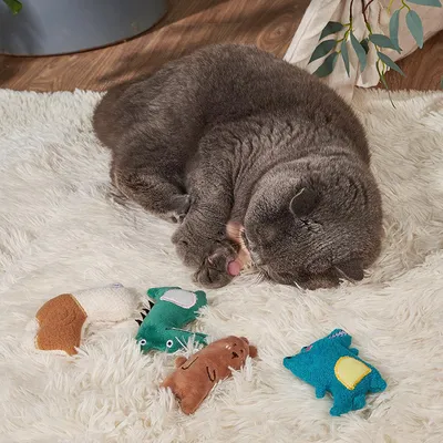 Immagine prodotto di INF Giocattolo di peluche con erba gatta - Giocattolo per gatti a forma di mais