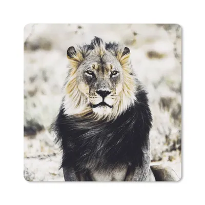 Produktbild von MuchoWow® Mauspad Mousepad Wilde Tiere - Löwe - Schwarz 20x20 cm - Mousepads - Maus Mat - Pad - Mausunterlage - Desk Mat - Bureauartikeln