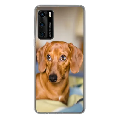 Produktbild von MuchoWow® Handyhülle Schutzhülle Hülle für Huawei P40 Dackel liegend auf einem Bett Silikon Softcase Handy Hülle - Handytasche
