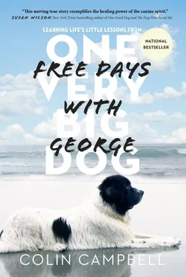 Produktbild von Free Days with George