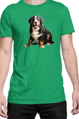 Produktbild von Herren T-Shirt Dogs Breeds Weimaraner Dog Breed 008, Man M / Grün