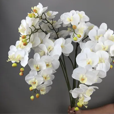 Imagen del producto de Orquídeas Phalaenopsis artificiales, color blanco, 69 cm de altura, juego de 6 unidades, ideales para la decoración de hogares y oficinas
