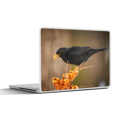 Produktbild von MuchoWow® Laptop Aufkleber Sticker Cover Vogel - Amsel - Winter - Eis - Beere 36.5x27.5 cm - Laptop-Sticker