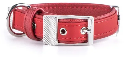 Image de Collier pour chien MyFamily, réglable, de couleur métallique, disponible en Italie