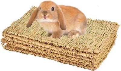 Produktbild von Famanu Grasmatte Kauwspeelzeug 4 Stück für Kaninchen und kleine Tiere - Naturmaterial