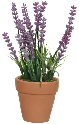 Produktbild von Everlands Lavendel - Kunstpflanze im Terrakottatopf - lila - violett - 6 x 18 cm