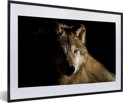 Produktbild von MuchoWow® Gerahmtes Poster Polarwolf 60x40 cm - Poster mit Schwarzem Bilderrahmen Wandposter Rahmen Foto Bilder - Schlafzimmer - Plakat in Rahmen - Drucken
