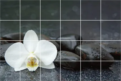 Produktbild von Fliesenaufkleber 15x15 cm – 24 Stück – Selbstklebend – Wasserfest – Pflegeleicht – Hitzebeständig – Für Küche & Bad – Blume auf Wassersteinen