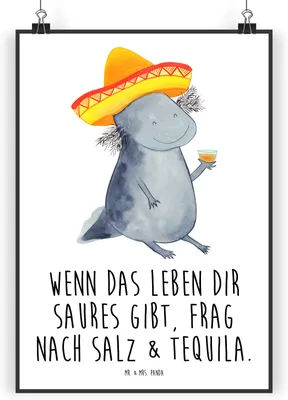 Produktbild von Mr. & Mrs. Panda Bild Axolotl Tequila DIN A5 - Weiß - Geschenk, Feuersalamander, Mexiko, Plakat, Party, Urlaub, drucke, wanddeko, Wandschmuck, Wandbild, trinken, Spruch