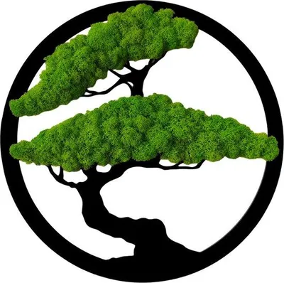 Produktbild von Famanu Moosbild Runder Bonsai Baum - Moosfoto mit Rahmen 30x30cm - Mooswand Lebendig Natürlich - Handgemachtes Pflanzenbild mit Moos Rendiervlechtwerk